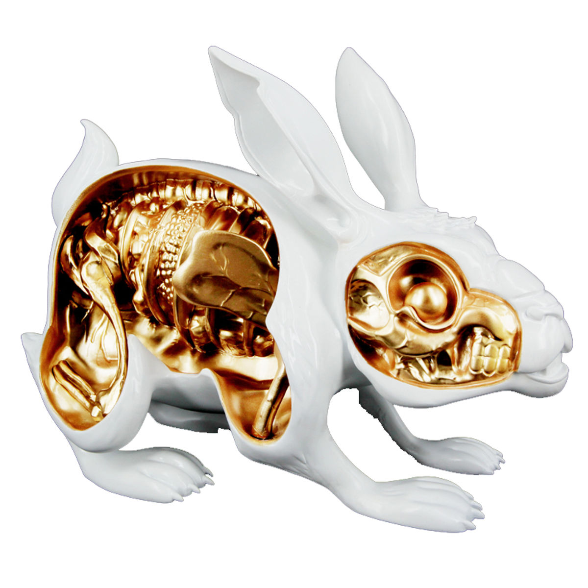 LEPUS PELLIS OS OMENTUM - WHITE / GOLD