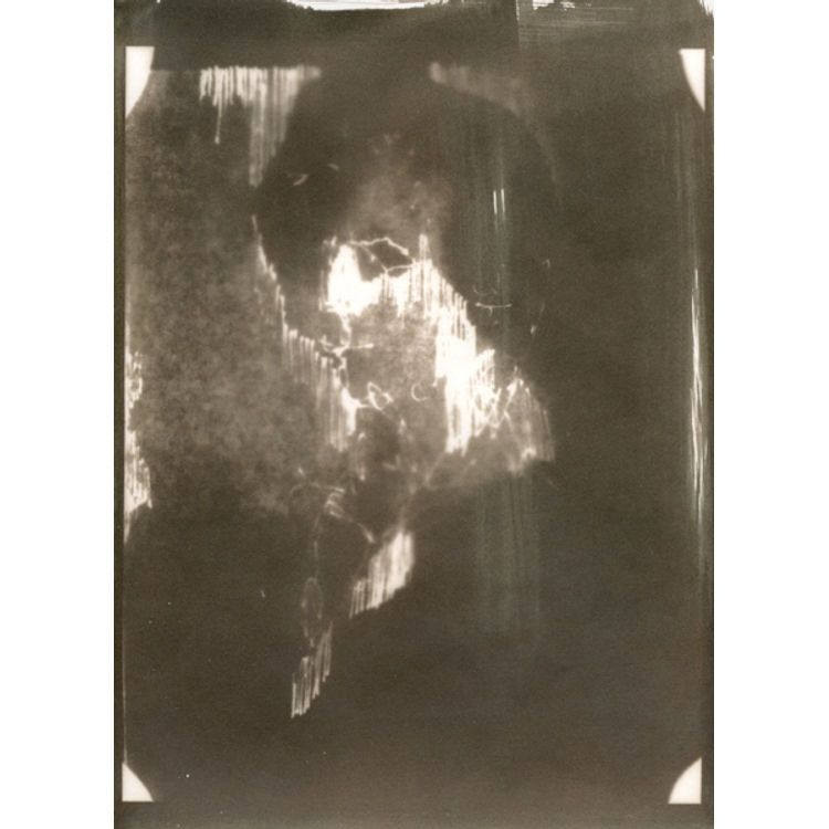 The Woman II by Erin Elayne