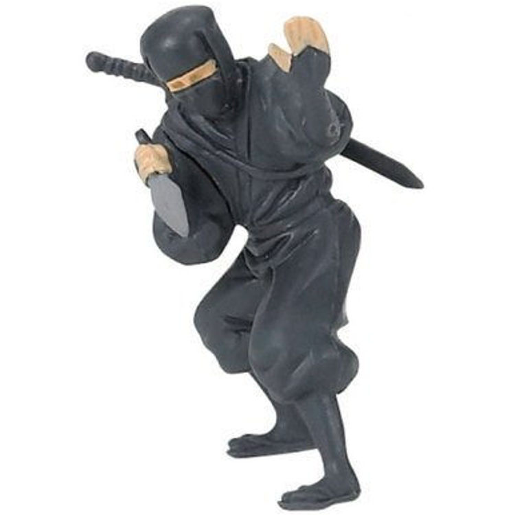 Ninja on board - No pain by EPOCH