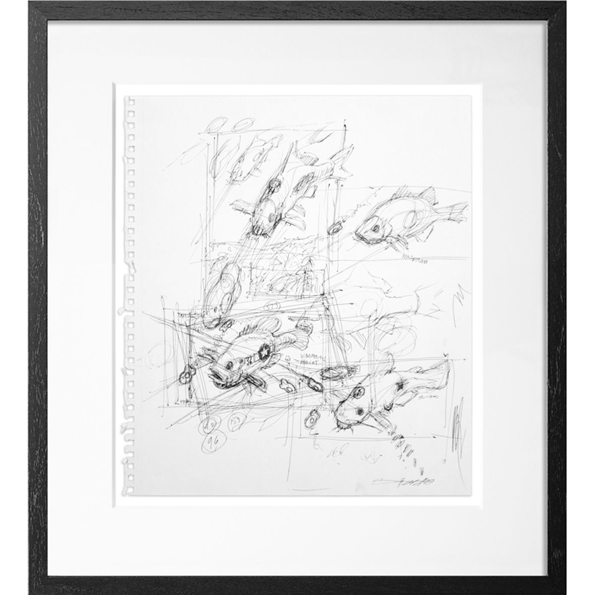 Fish From Above - Sketch 1