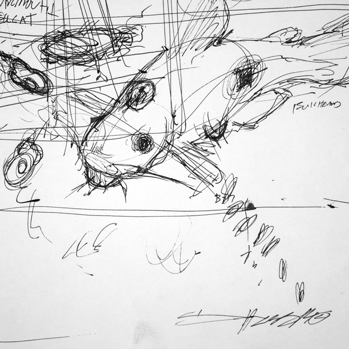 Fish From Above - Sketch 1
