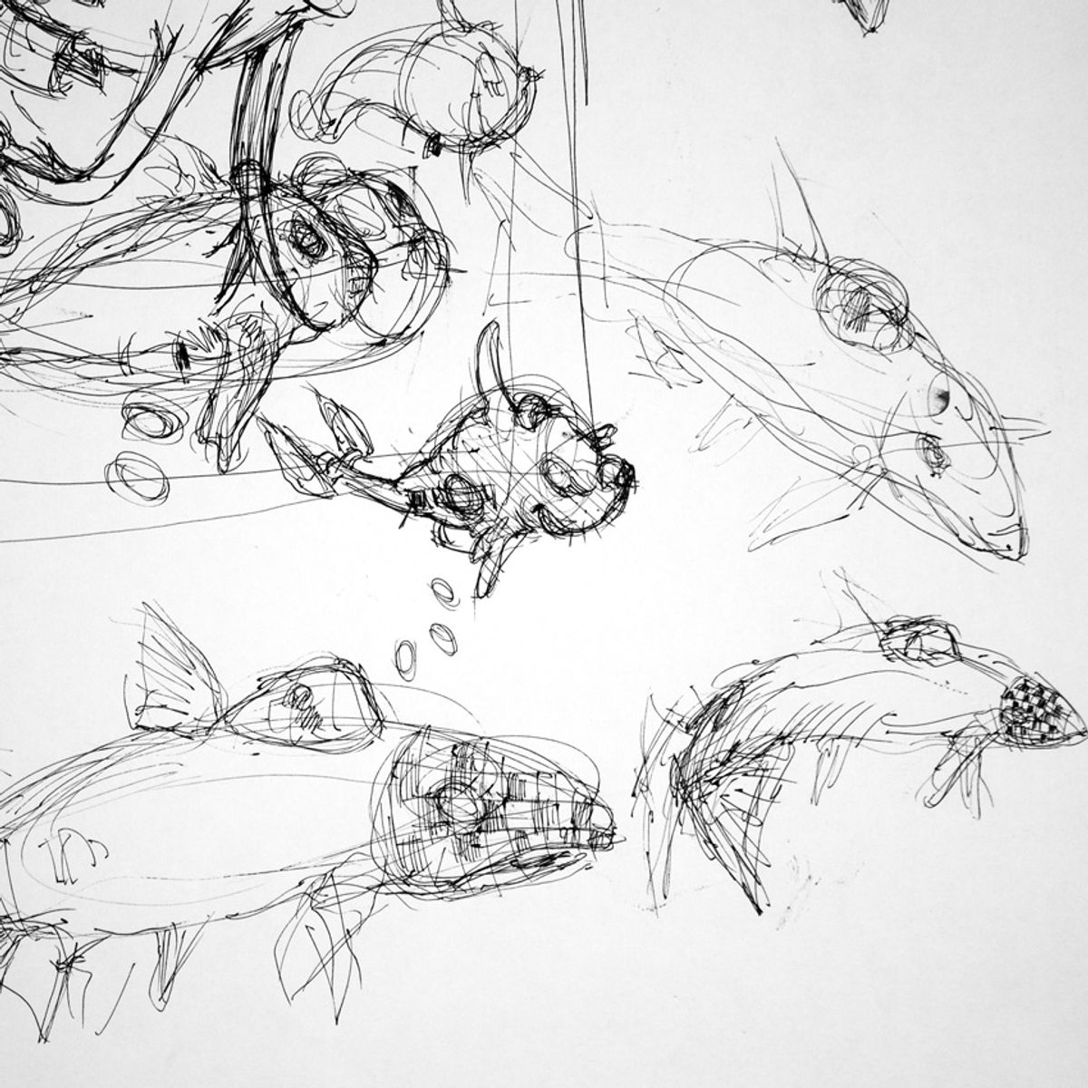 Fish From Above - Sketch 2