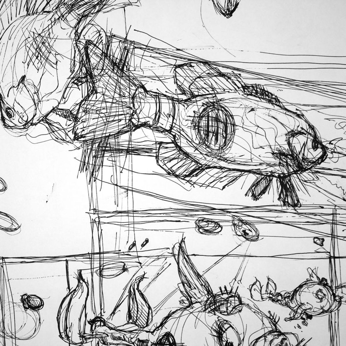 Fish From Above - Sketch 3