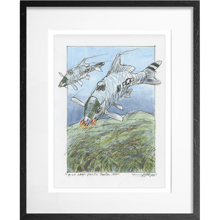 B-25 Carp - Original Artwork by Derek Hess