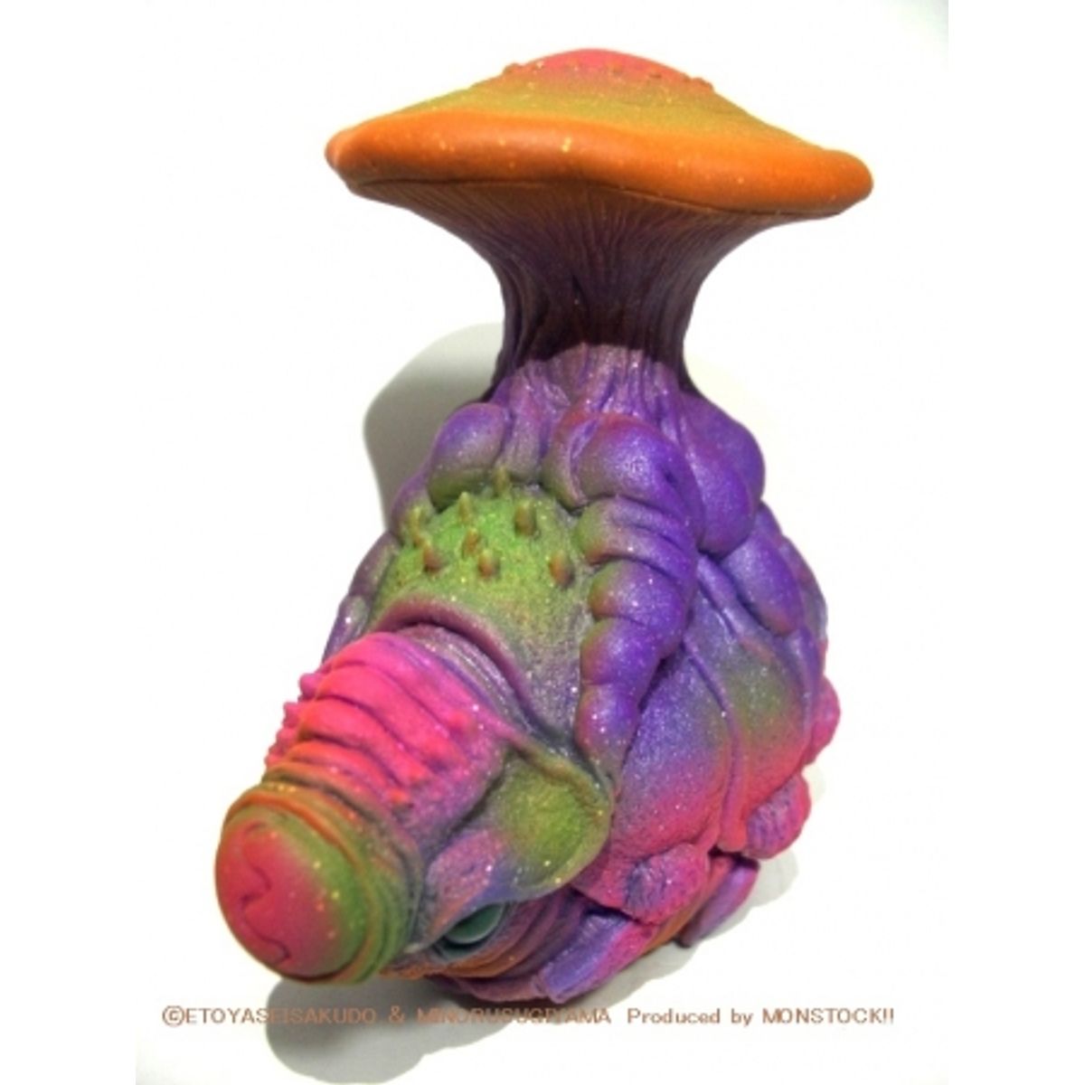 Cordyceps Igudoradon juvenile "Uruguay mushroom"