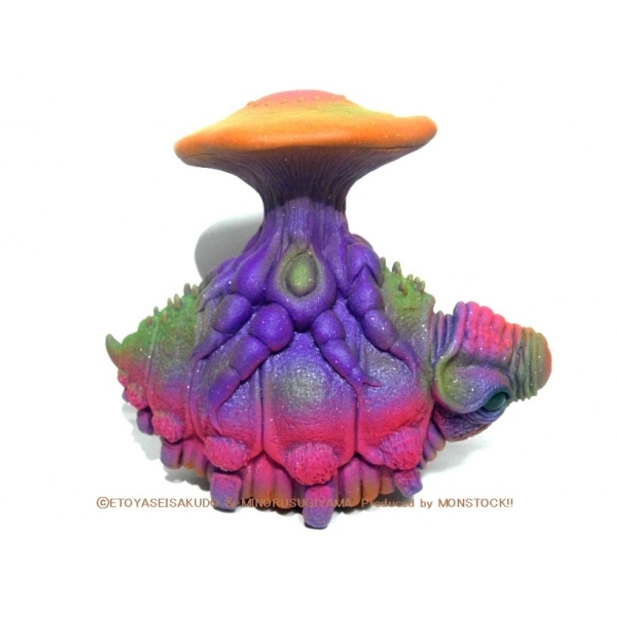 Cordyceps Igudoradon juvenile "Uruguay mushroom"