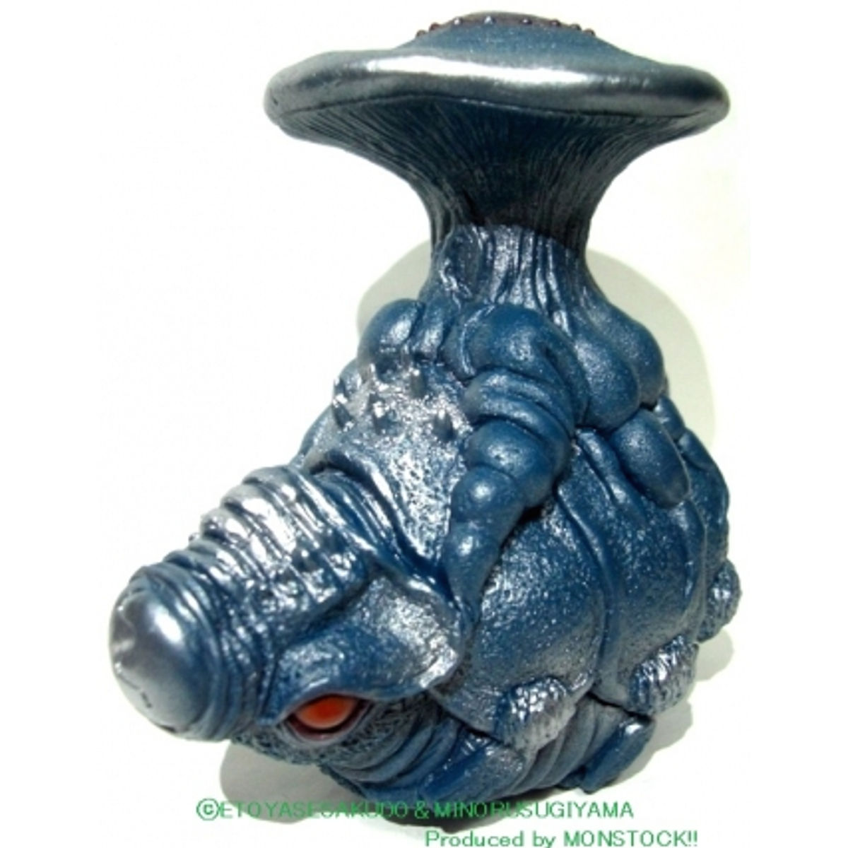 Cordyceps Igudoradon juvenile "Famous Blue"