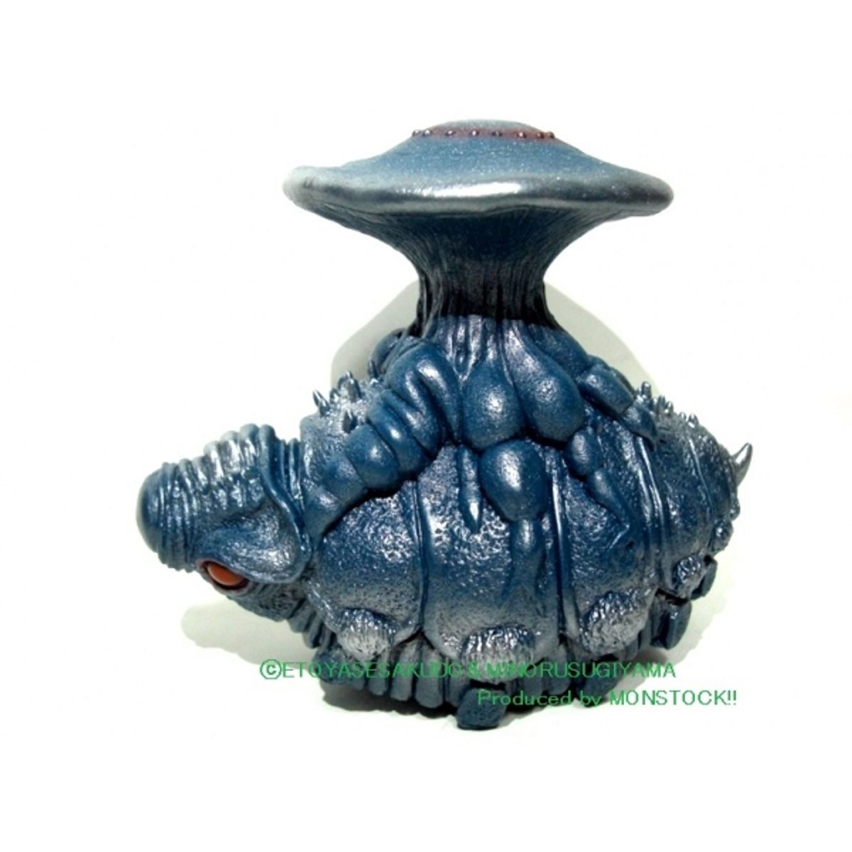 Cordyceps Igudoradon juvenile "Famous Blue"