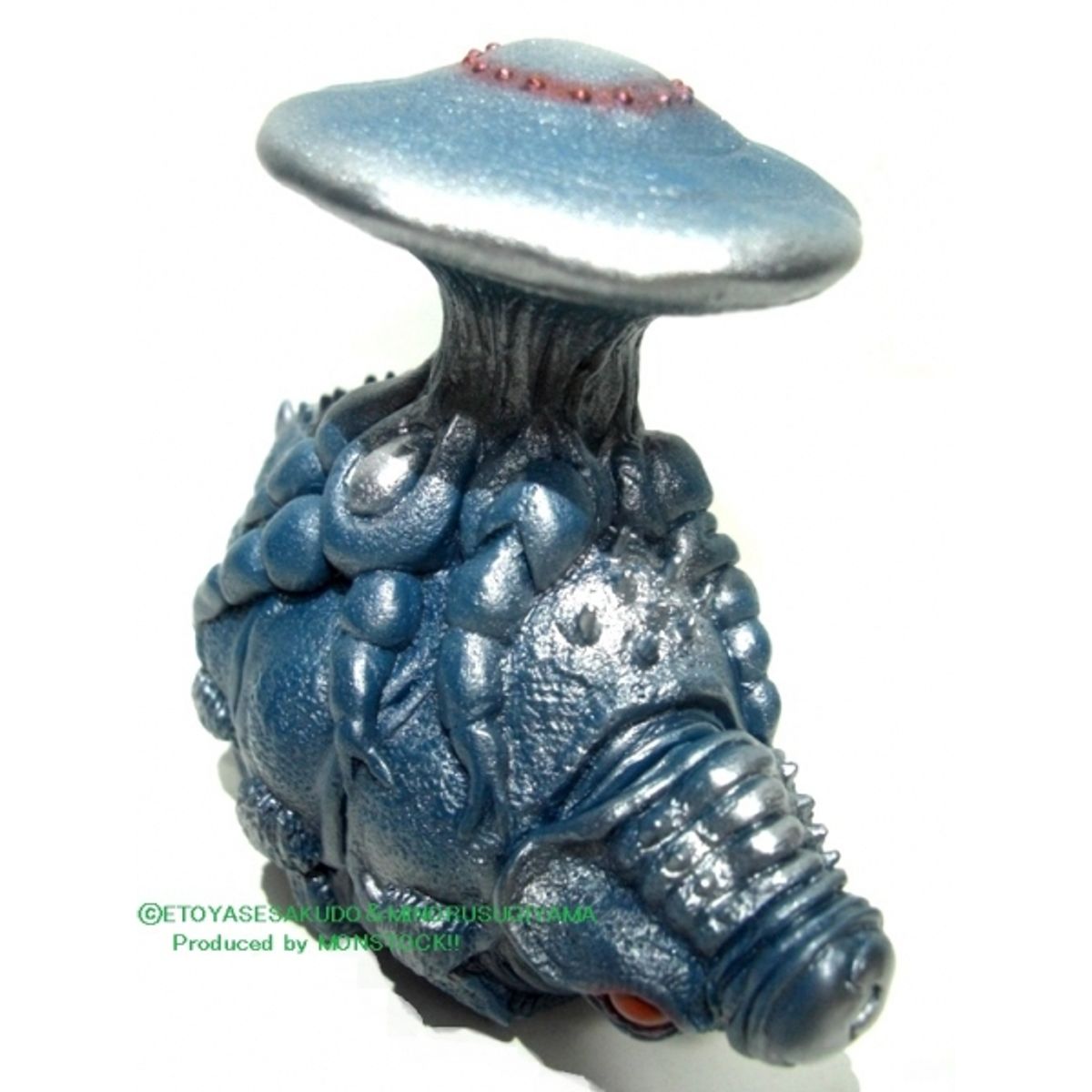 Cordyceps Igudoradon juvenile "Famous Blue"