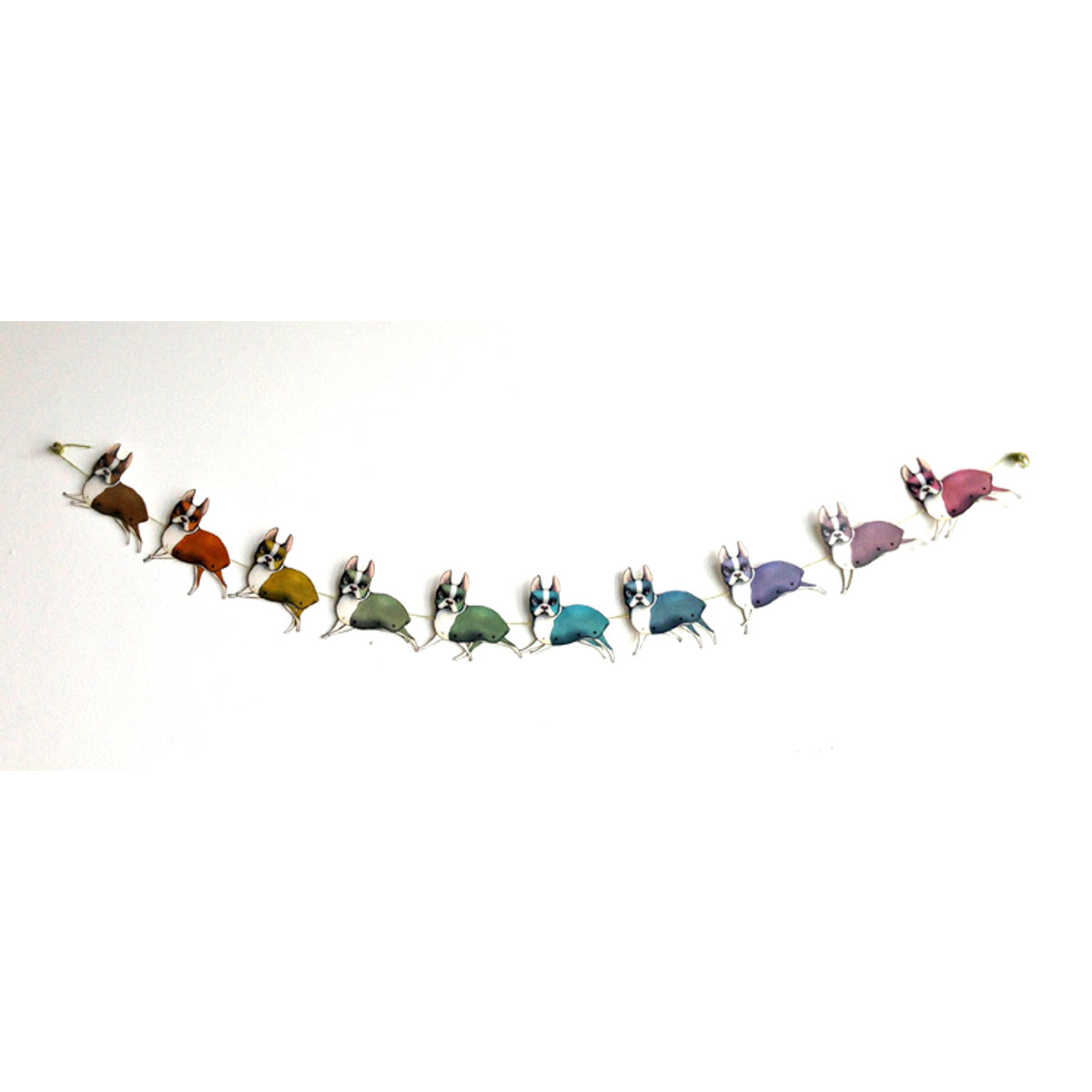 Boston Terrier Rainbow