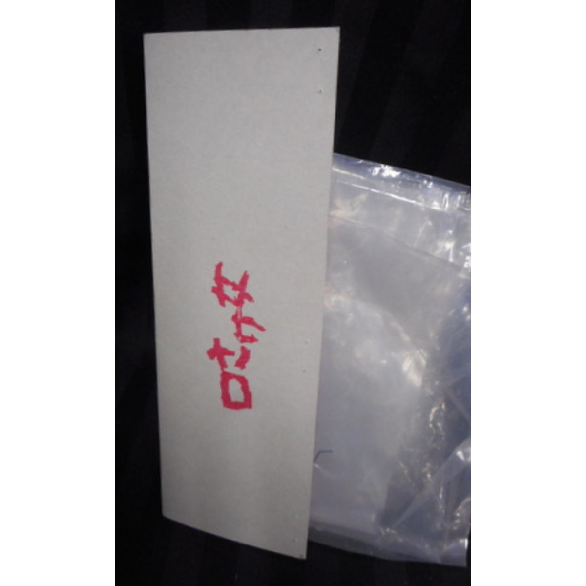 Shikaruna workshop [ mouth torn woman / ( 2013 winter WF limited / pumpkin Ver.)