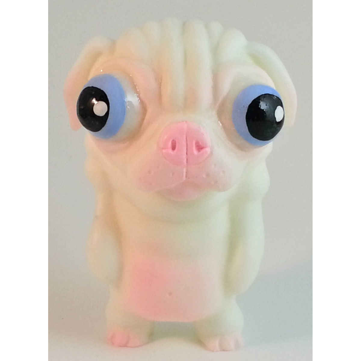 albino puggo