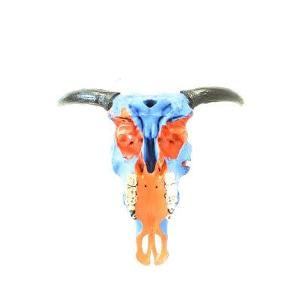 Violet's Triangle Cow