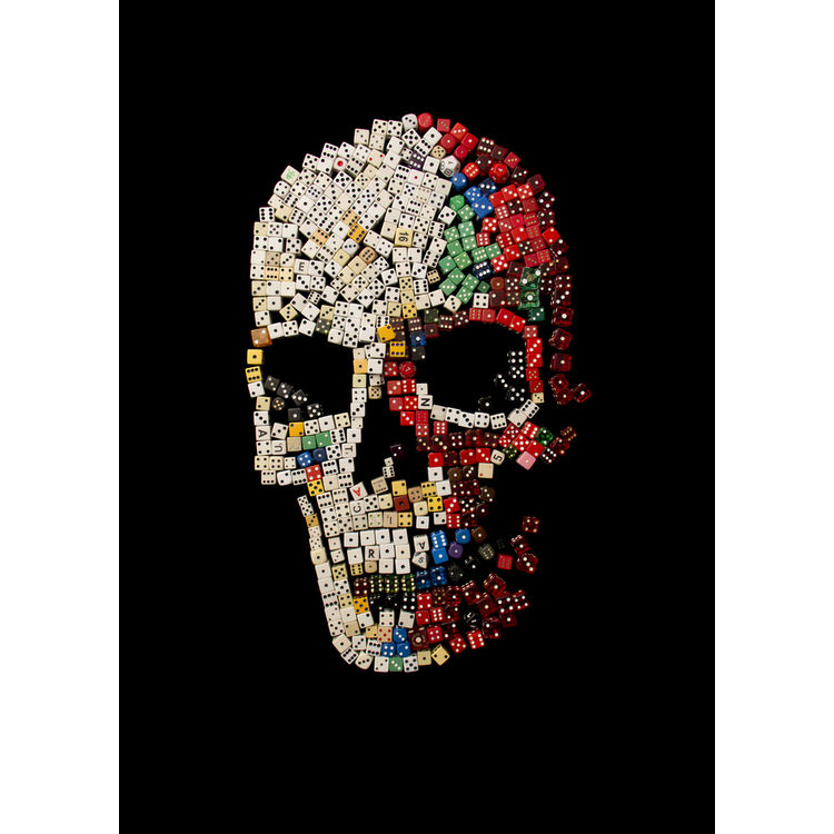 NATURAL SELECTION SERIES - EINSTEIN SKULL by Noah Scalin