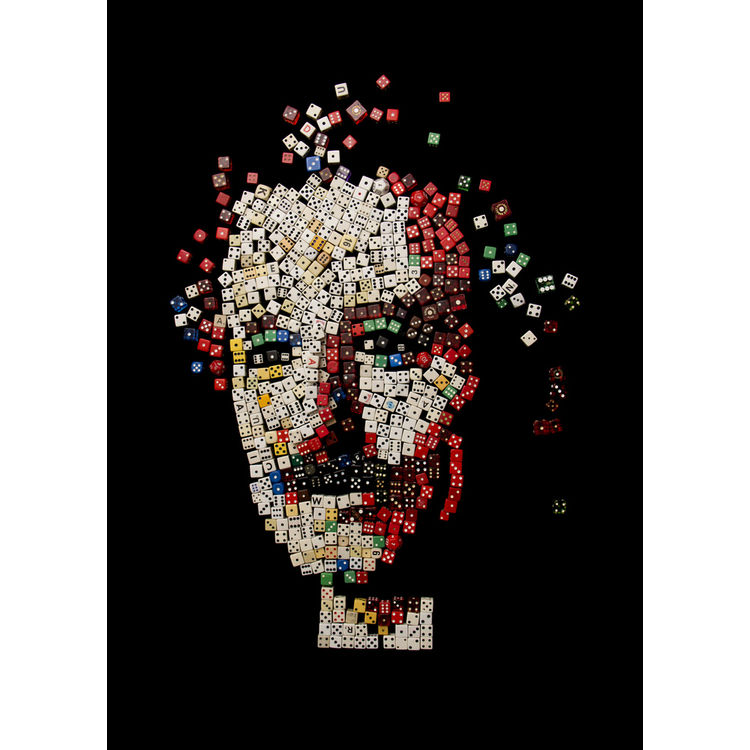 NATURAL SELECTION SERIES - EINSTEIN by Noah Scalin
