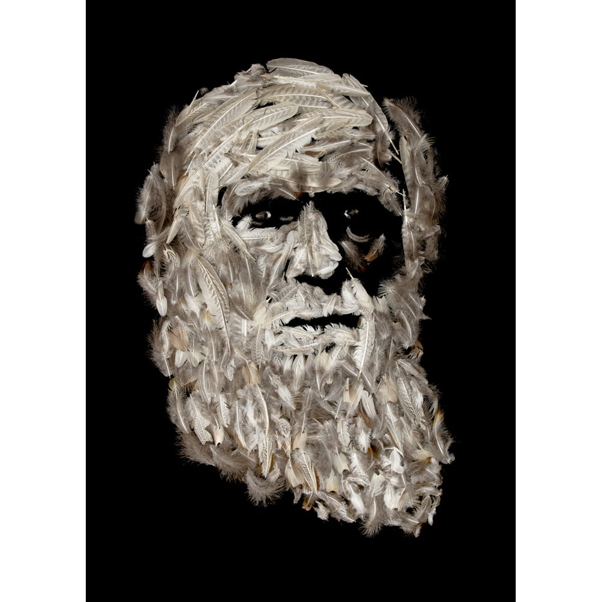 Name of piece: Natural Selection Series - Darwin
