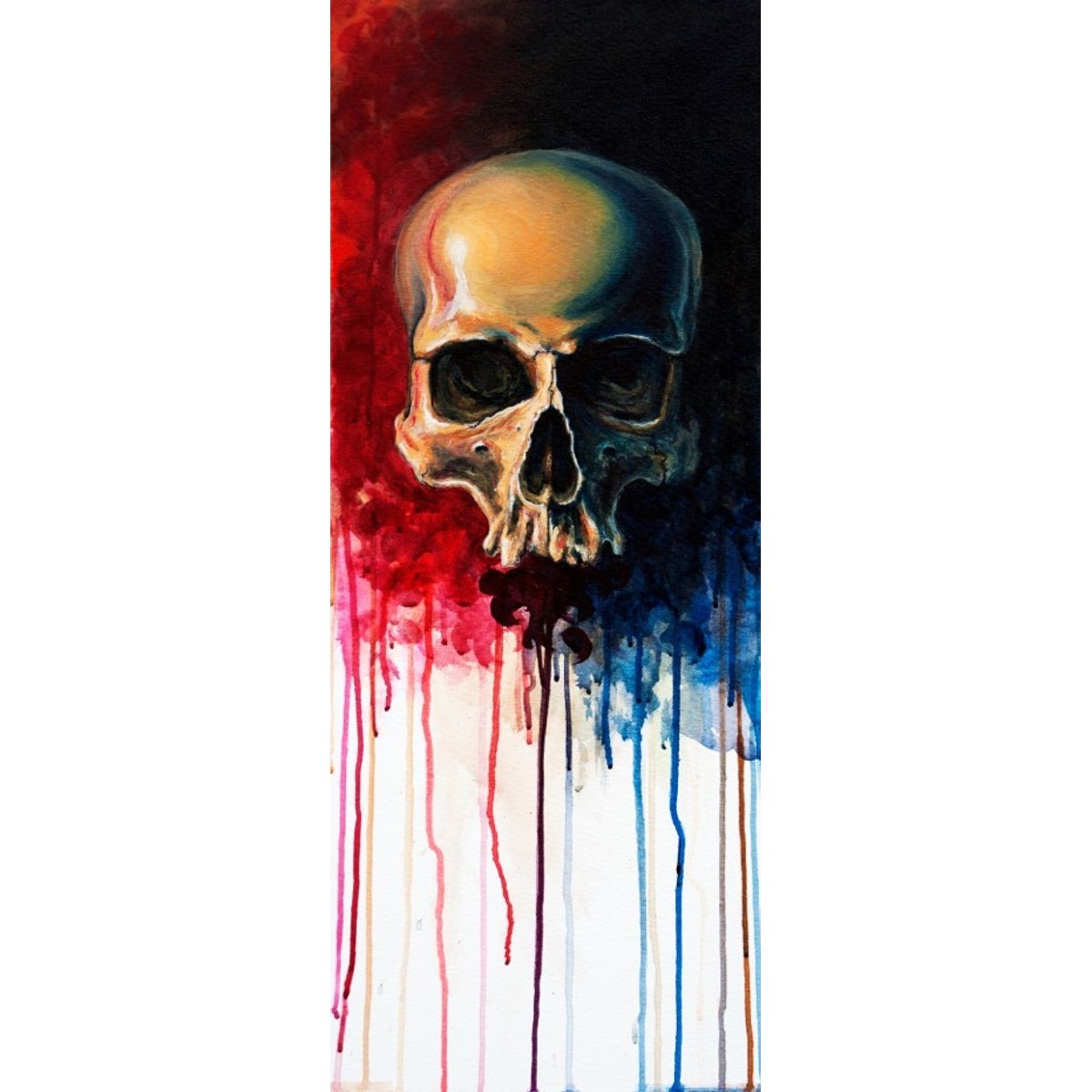 SKULL ON CANVAS - UNTITLED