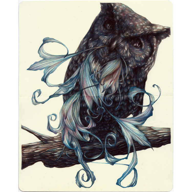 The Cynic by Marco Mazzoni