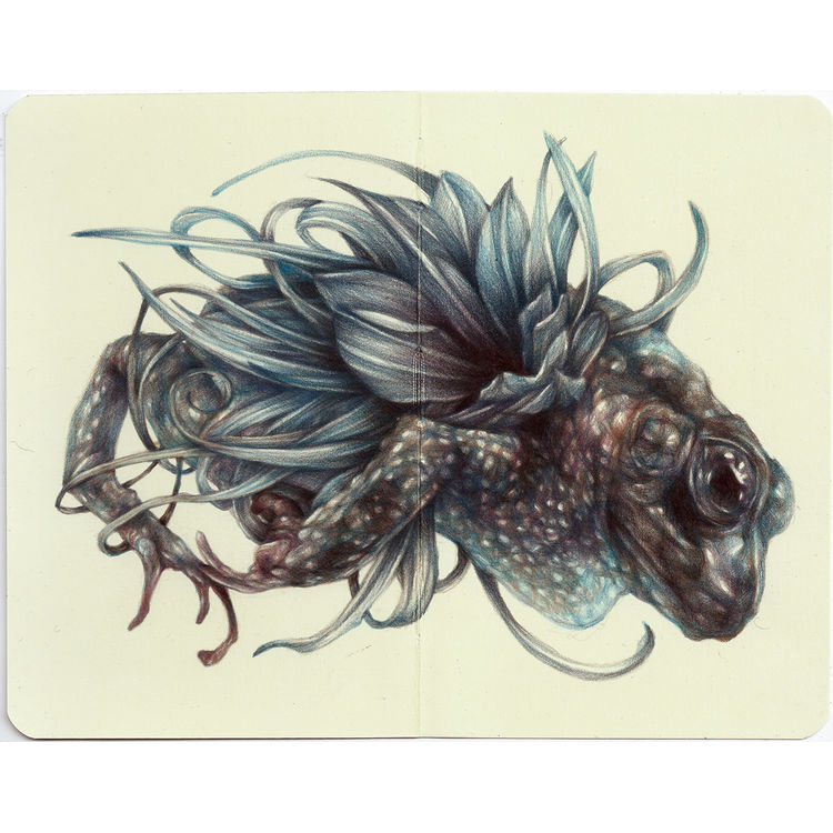 The Furious One by Marco Mazzoni