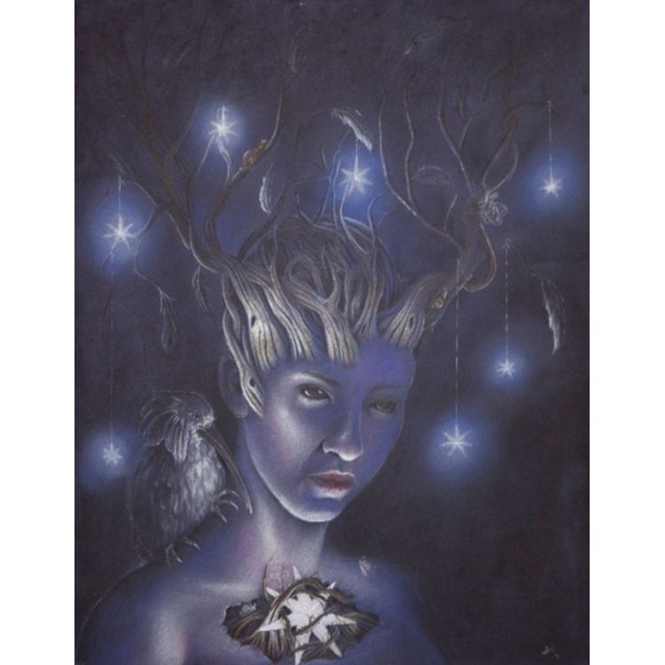 The Star by Laura Cosner