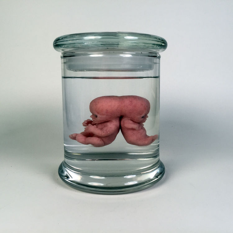 Conjoined 2 by Josh Hardie (creaturekits)