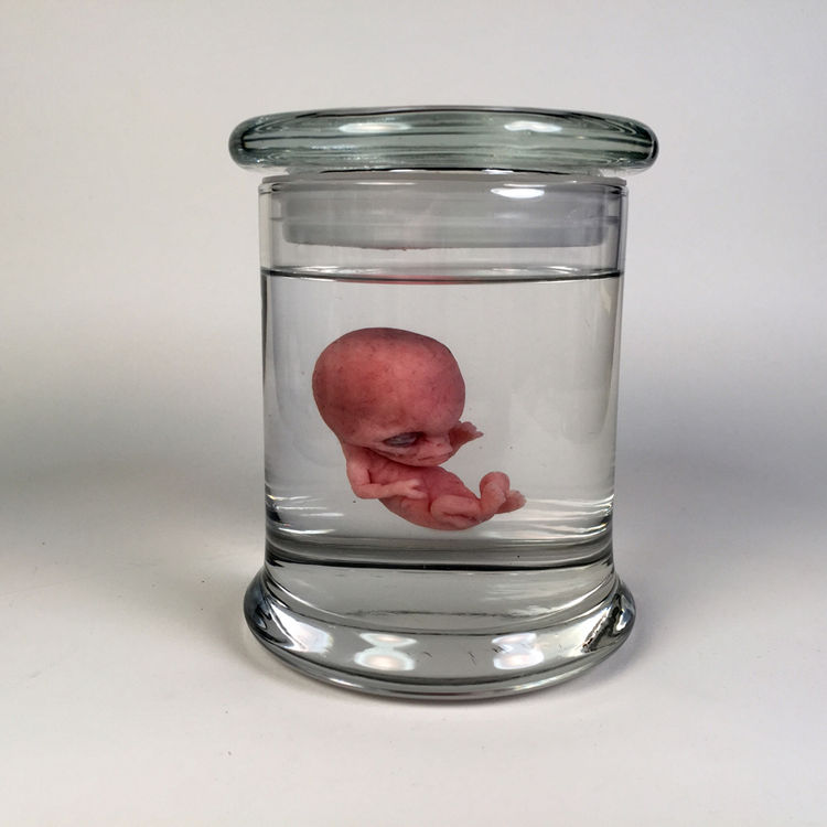 Hybrid by Josh Hardie (creaturekits)