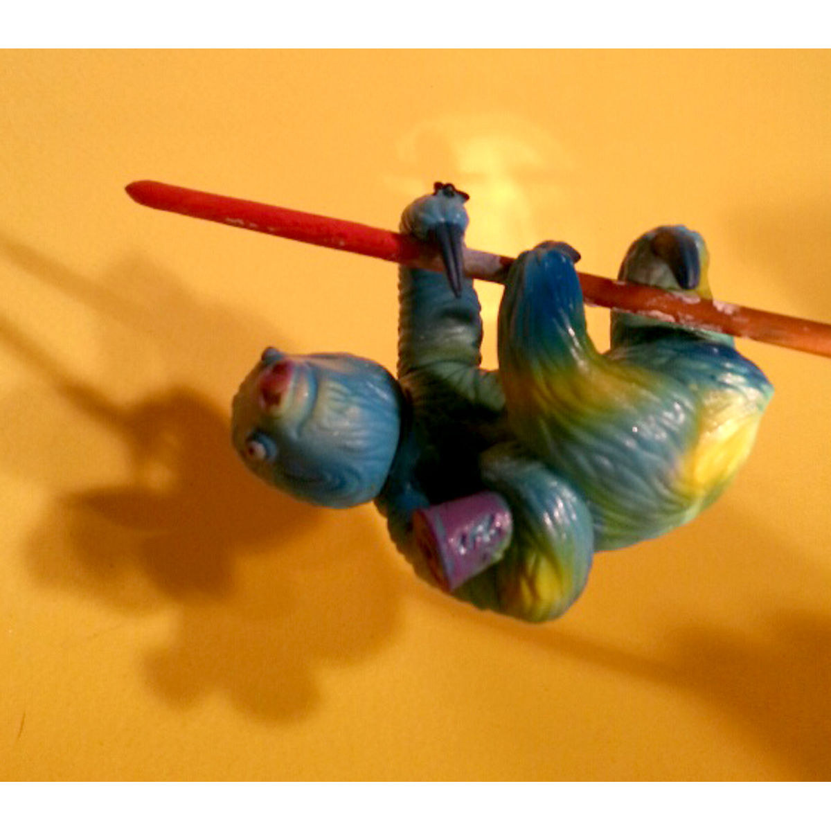 Sloth’n Moth - Painted Bluetoed