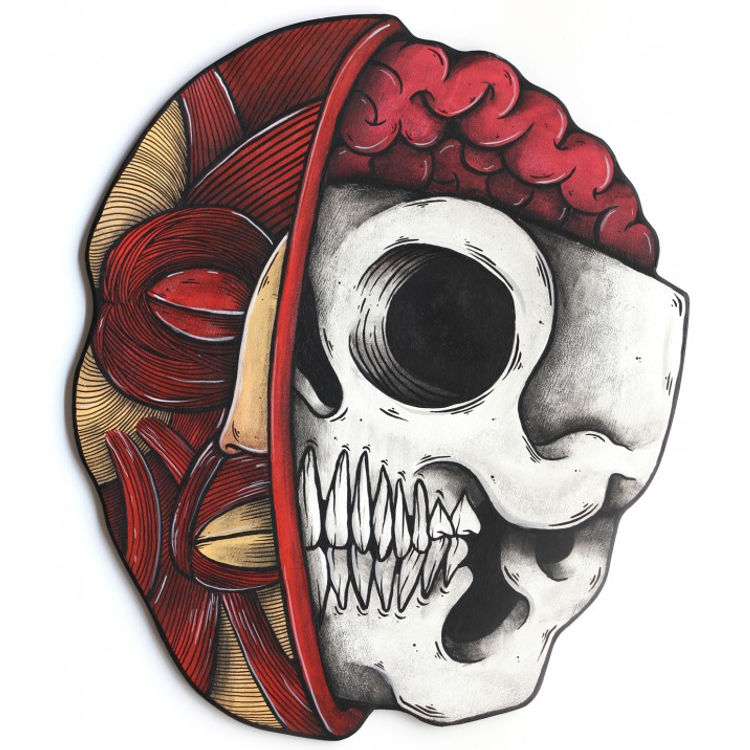 Anatomy Face by Ramone Sketch