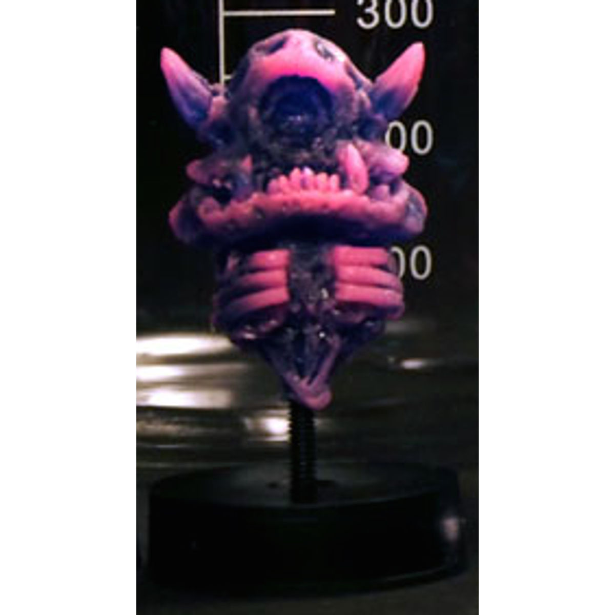 3D "Infected" Stroll Skeletons
