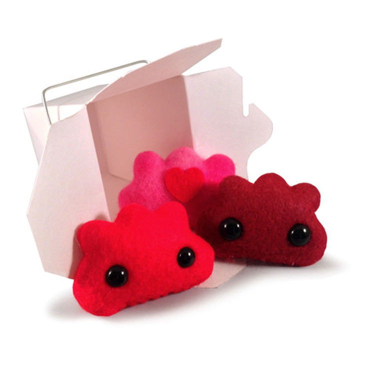 Valentine's Day Dumpling Plush by Shawnimals