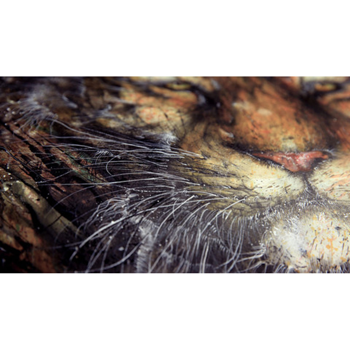 Prairie Fire [ 燎原 ]