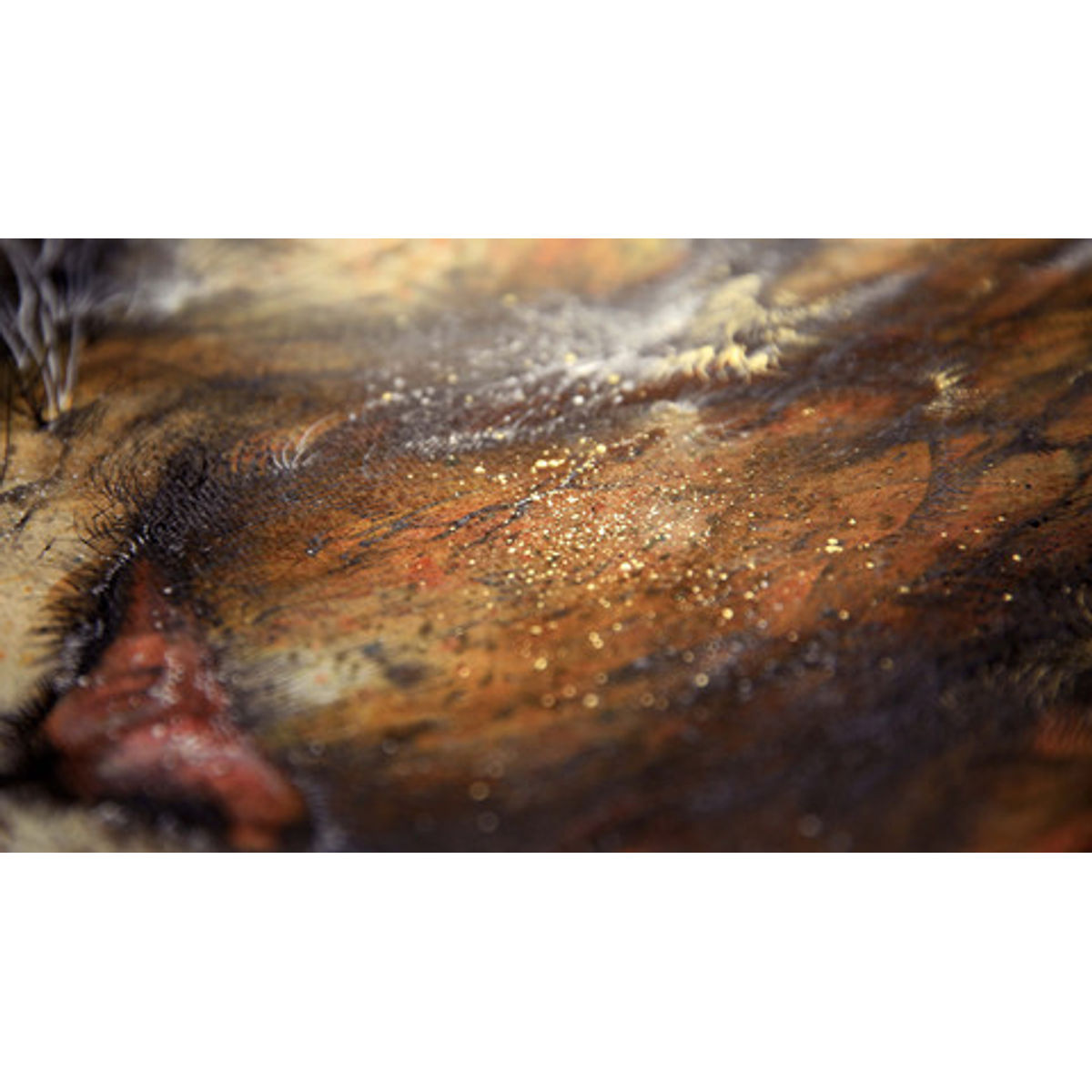 Prairie Fire [ 燎原 ]