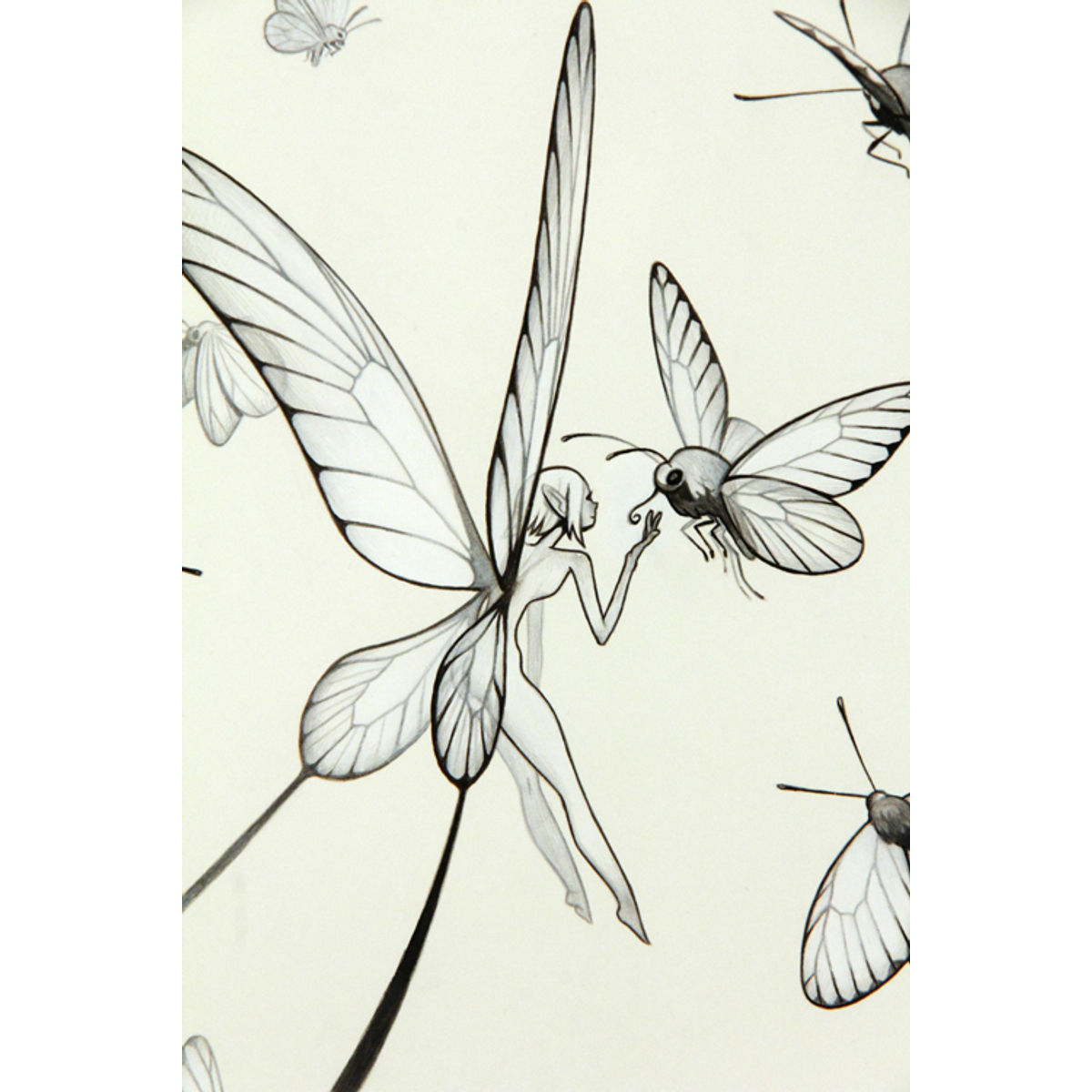 MISPLACED FAIRY