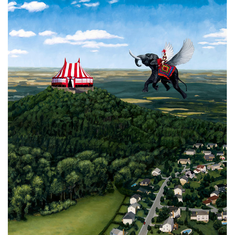 CIRCUS by Stephen Ibbott