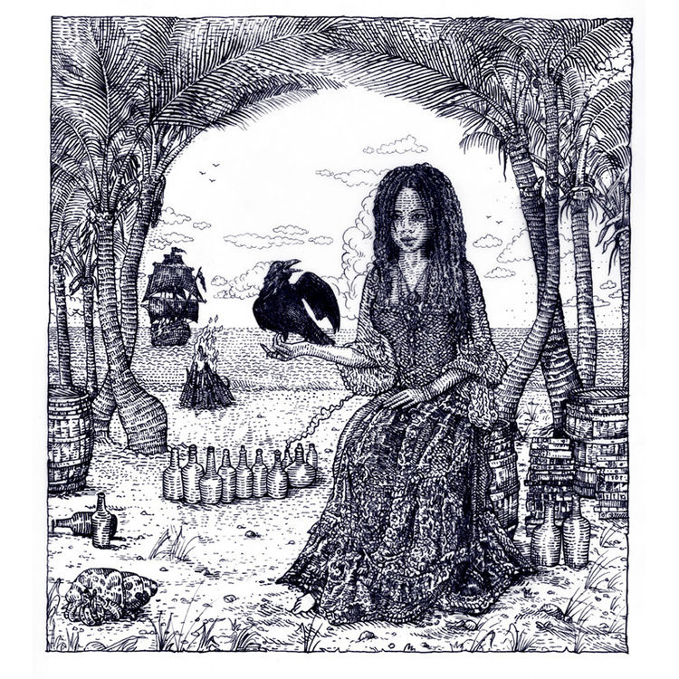Calypso by David Welker