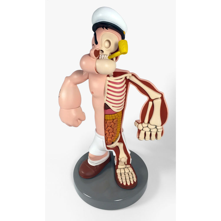 POPEYE DISSECTED (2 OF 2) by Jason Freeny