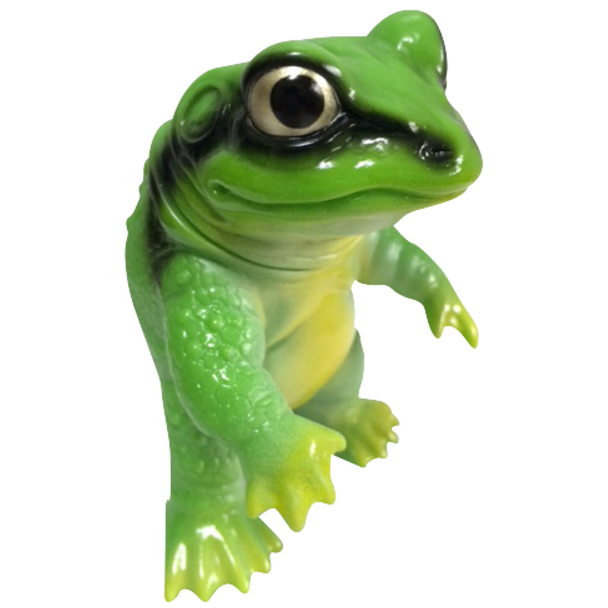 Takepiko  Keronga tree frog