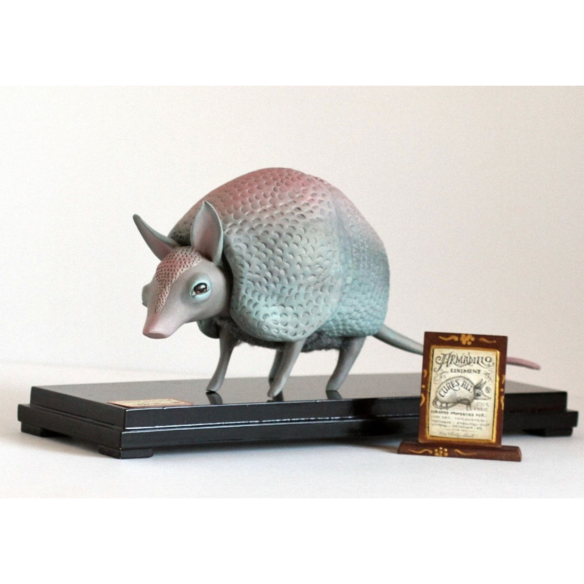Curative Properties (The Magical Armadillo)