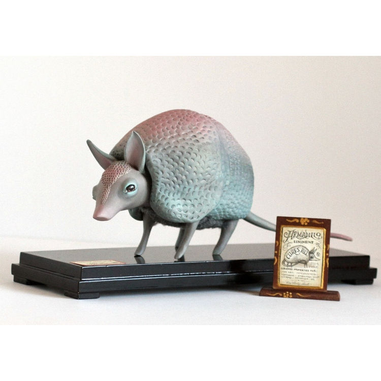 Curative Properties (The Magical Armadillo) by Mab Graves