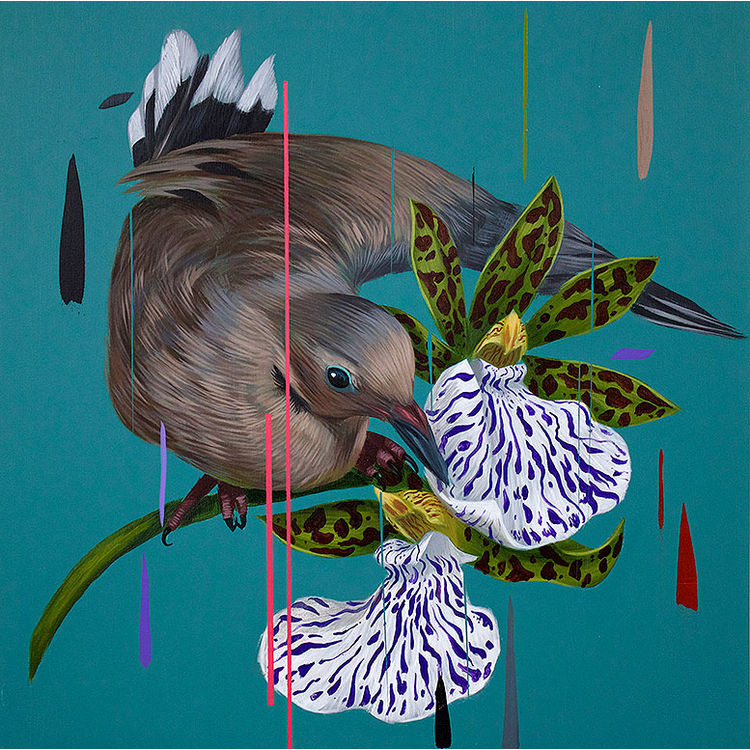 Mourning Dove and Odm Orchids (2014) by Frank Gonzales