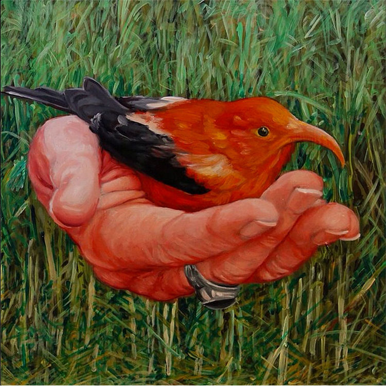 I’iwi In A Pink Hand (2015) by Gaia