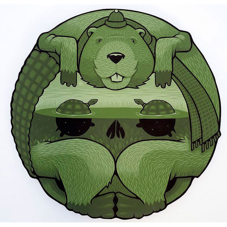 Tough Talking Turtles Telling Tales (2014) by Jeremy Fish
