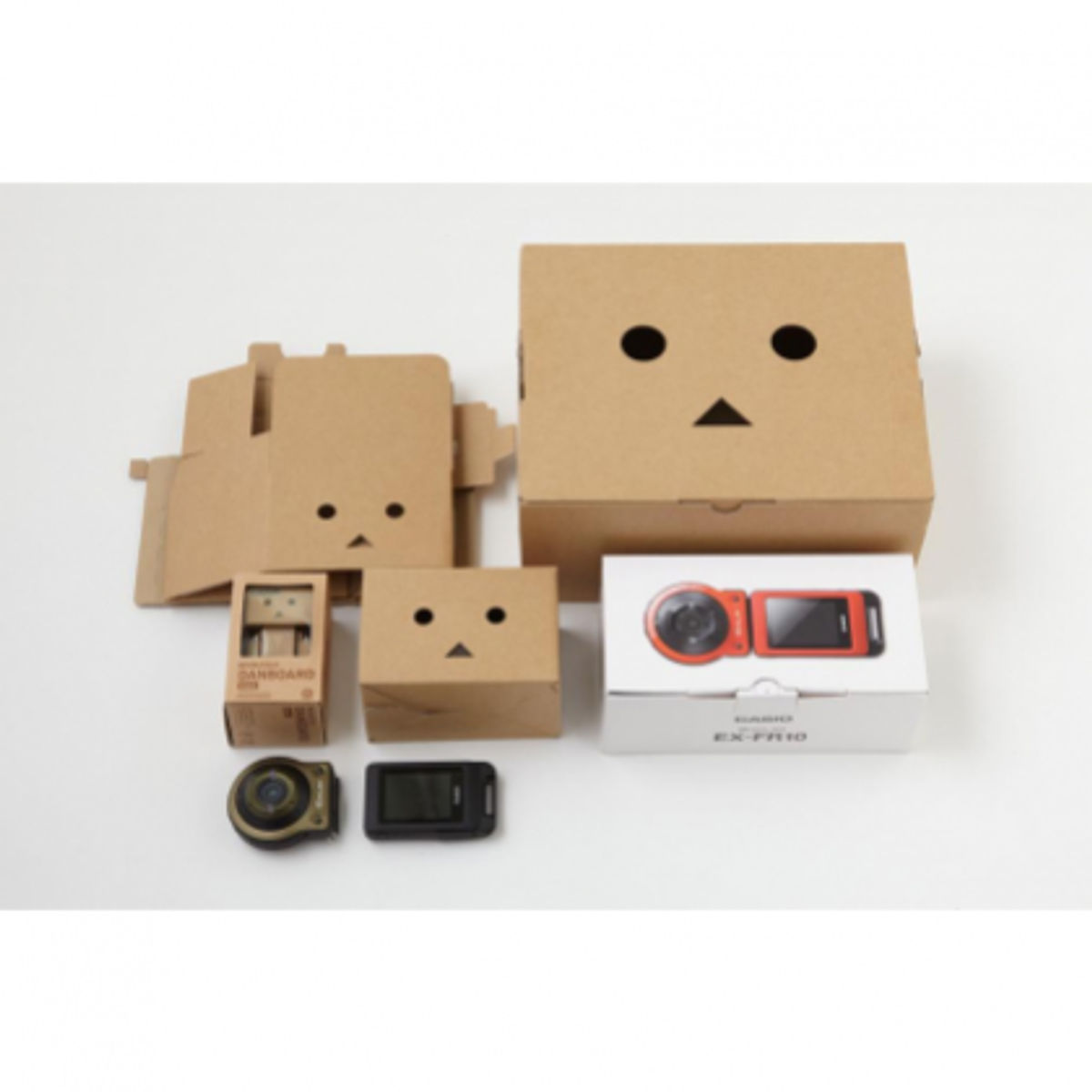 Danboard - Casio EX-FR10 cardboard ver.