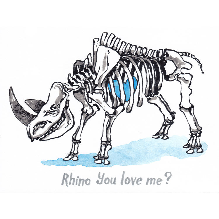 Rhino You Love Me? by Charlotte Belland