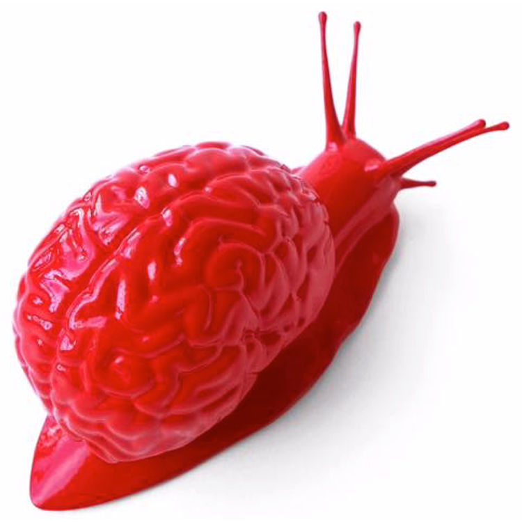 Snail Brain - Red ( Outland Exclusive ) by Tokyoplastic