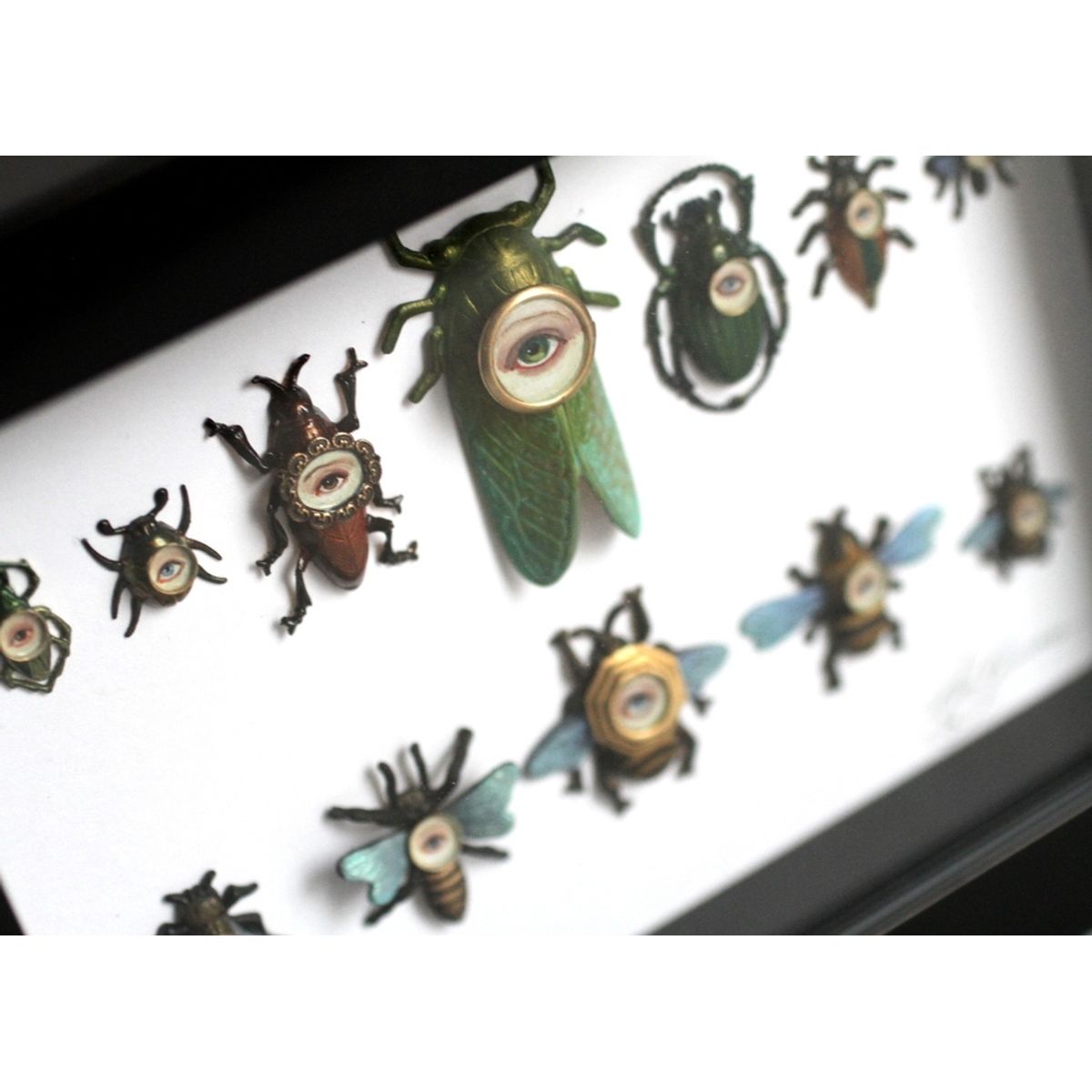 Cabinet of Curiosities Specimen No. 201