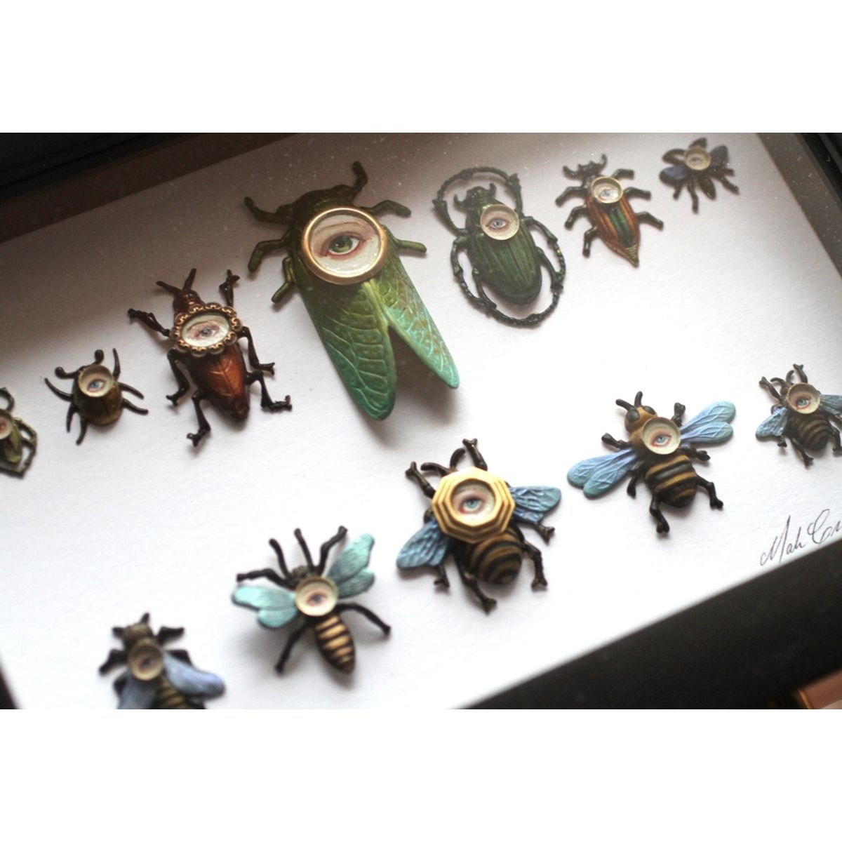 Cabinet of Curiosities Specimen No. 201