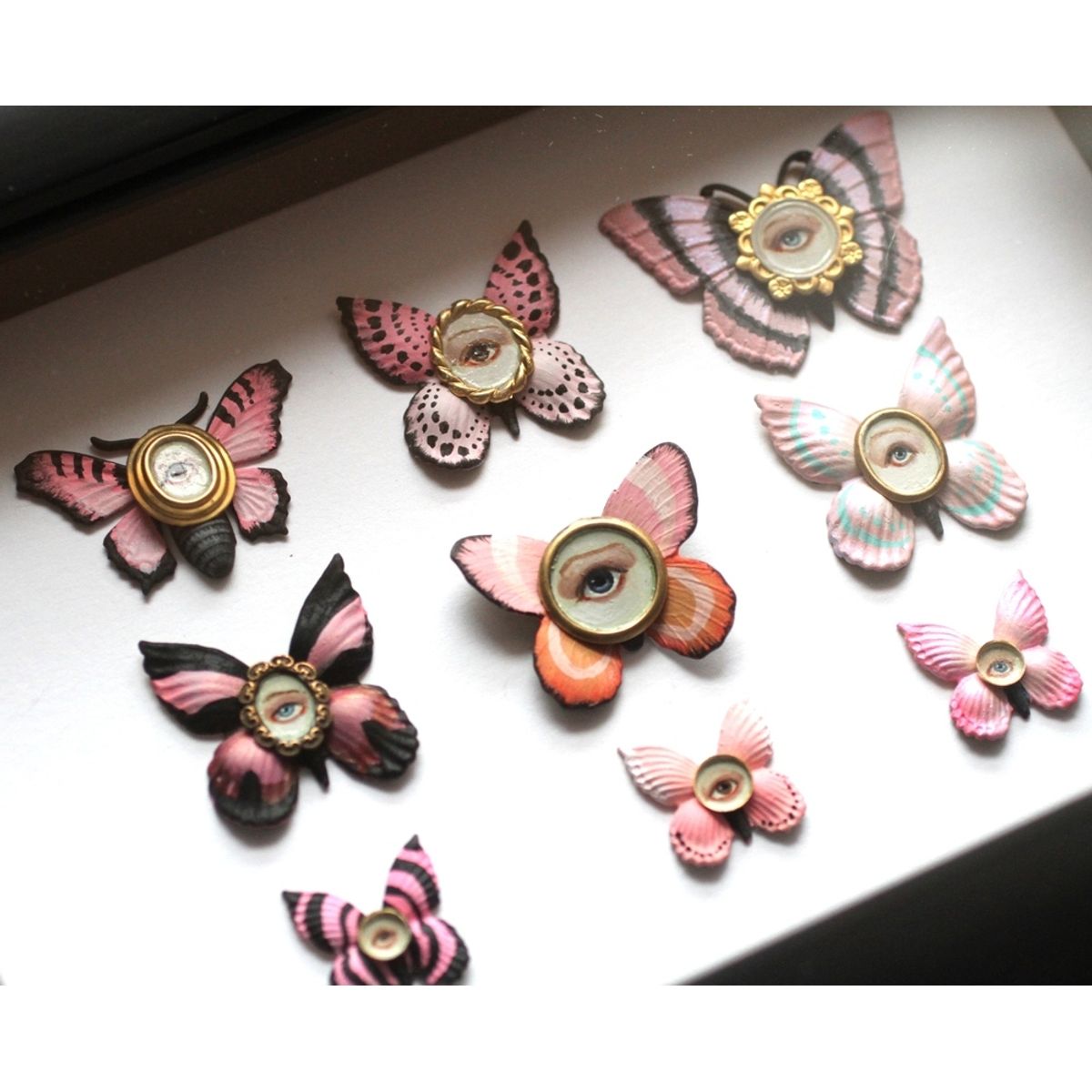 Cabinet of Curiosities Specimen No. 196