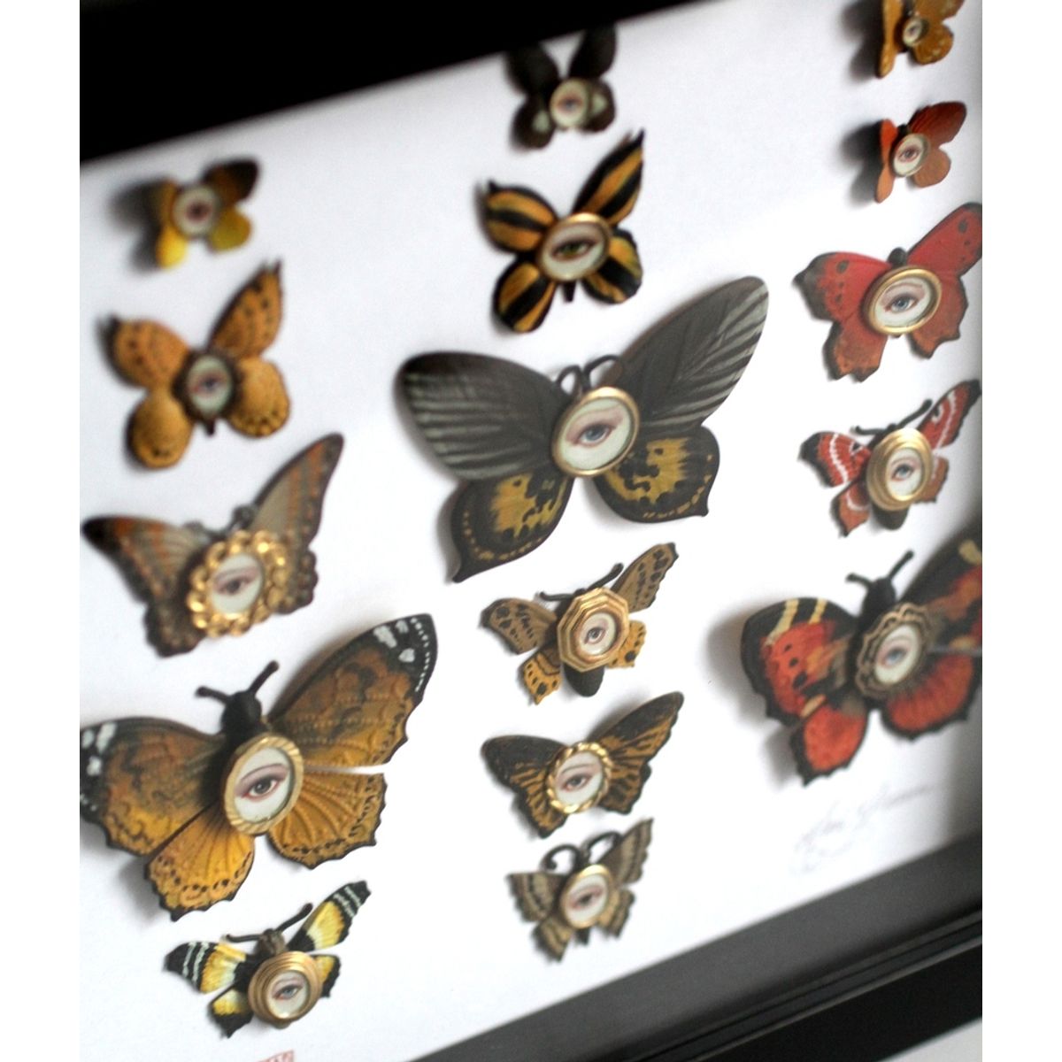 Cabinet of Curiosities Specimen No. 193