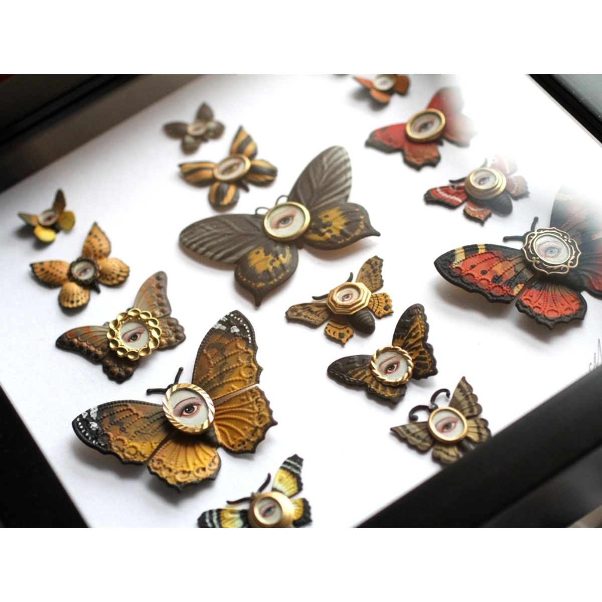 Cabinet of Curiosities Specimen No. 193
